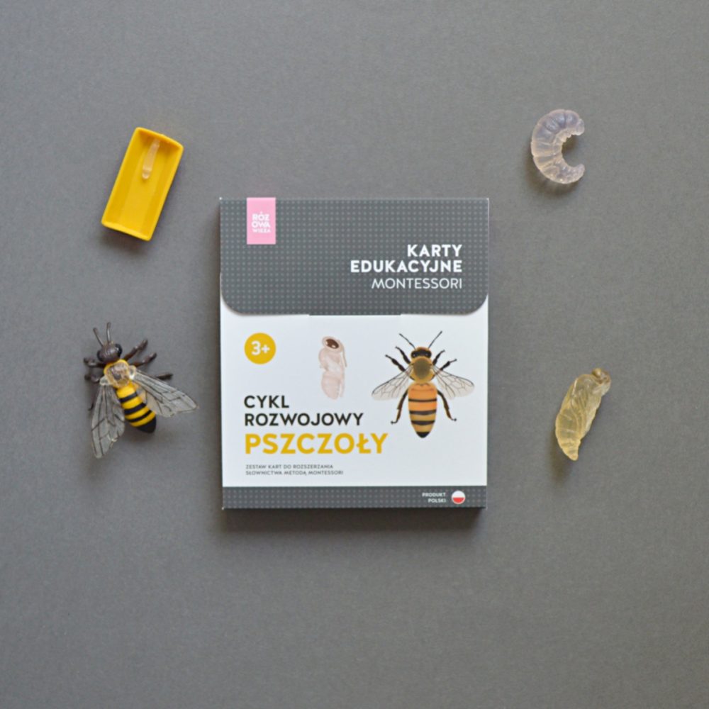 CYKL ROZWOJOWY PSZCZOŁY - KARTY EDUKACYJNE MONTESSORI + FIGURKI - obrazek 4